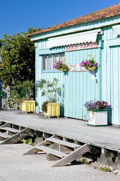 DES的鹽湖奧列隆島港；法國；Poitou Charentes；