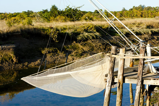 漁網(wǎng)；奧列隆島；Poitou Charentes；法國