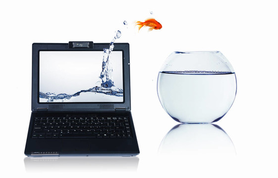 筆記本屏幕上的金魚