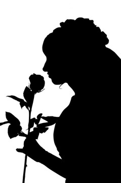 玫瑰裙中的女人剪影