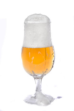 杯啤酒