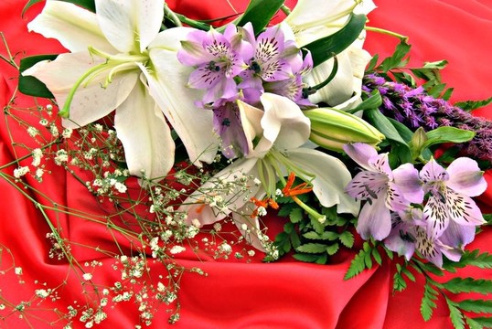 一些花