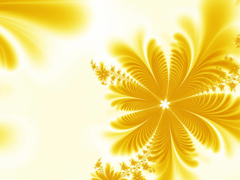 摘要花