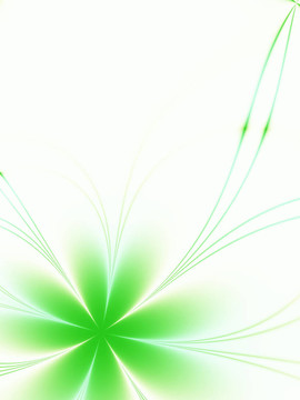 摘要花