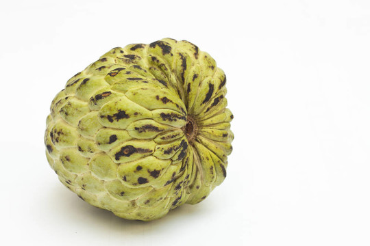 蛋奶凍蘋(píng)果