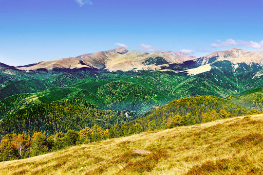 在羅馬尼亞Parang山景觀