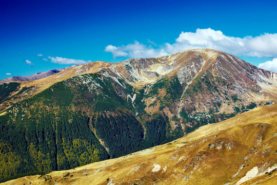 在羅馬尼亞帕朗山mohoru峰景觀