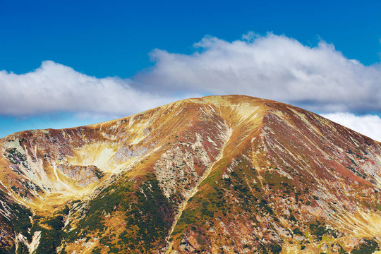 在羅馬尼亞帕朗山mohoru峰景觀