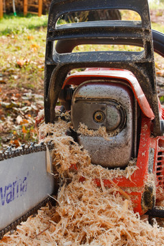 chainsaw2