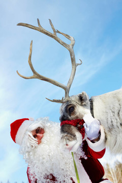 Santa和魯?shù)婪? style=