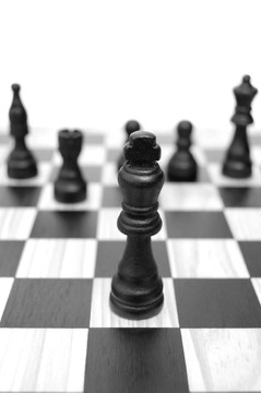國際象棋的領(lǐng)導(dǎo)者