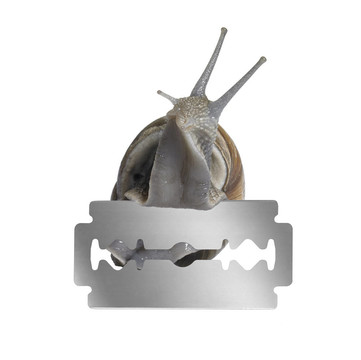 葡萄蜗牛和刀片