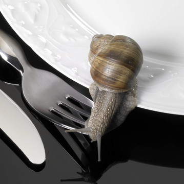 葡萄蜗牛爬行的餐具