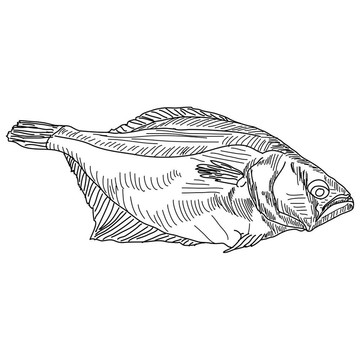圖手魚