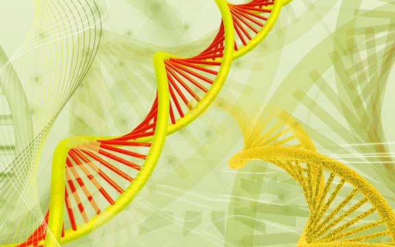 DNA