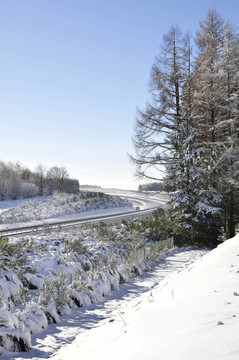 冬天的景色有藍(lán)天和大雪，還有一輛高速公路