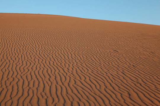 沙丘在Mesquite Flat