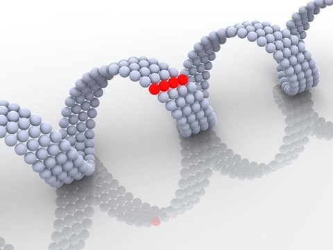 基因在DNA