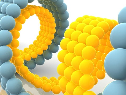 基因在DNA