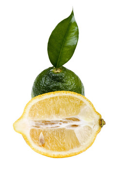 檸檬檸檬