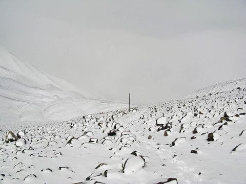 雪從Thorong La通尼泊爾體面