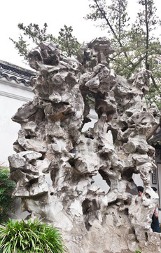 在蘇州，中國著名的獅子林花園