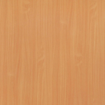 紋理的山毛櫸