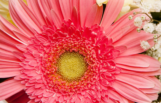 花束