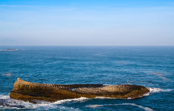 海洋