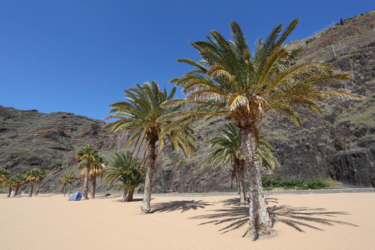 Playa de Las Teresitas海灘加那利島；特內(nèi)里費(fèi)；西班牙