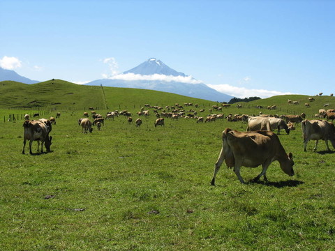 塔拉納基山