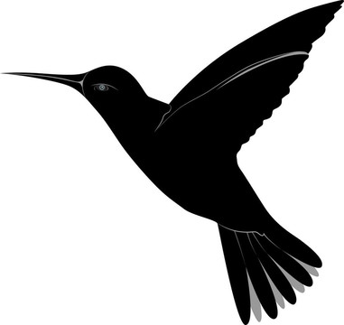 蜂鳥