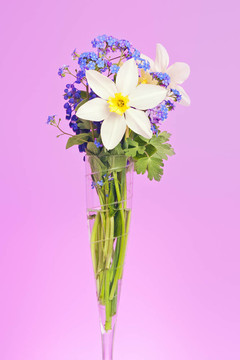 水仙花