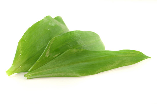野蒜