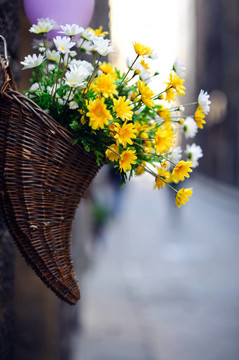 街上的花