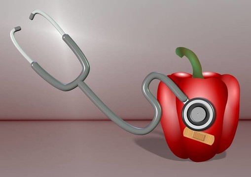 聽診器和蔬菜