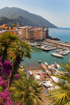 Camogli。意大利