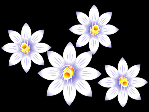 摘要白百合花