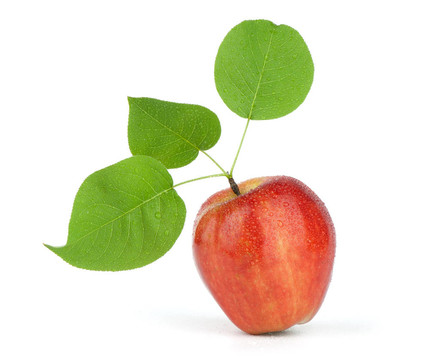 成熟的紅蘋果