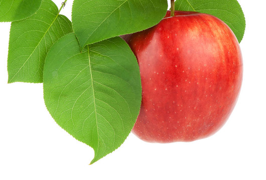 紅蘋果