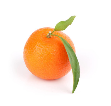 一個Tangerine夜店的特寫