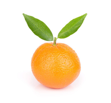 新的Tangerine夜店