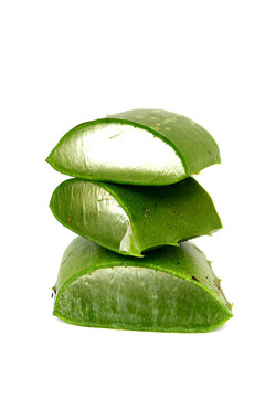 蘆薈