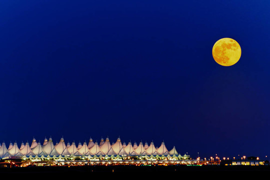 全Moon