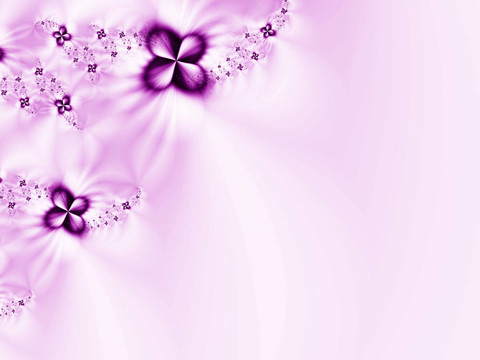 摘要花