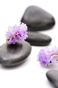 紫色花石