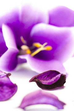 紫色花石