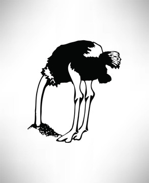 鴕鳥向量