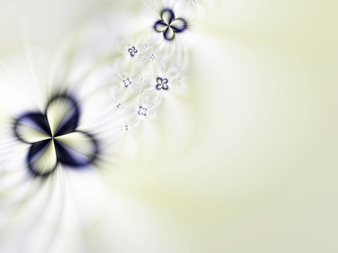 摘要花