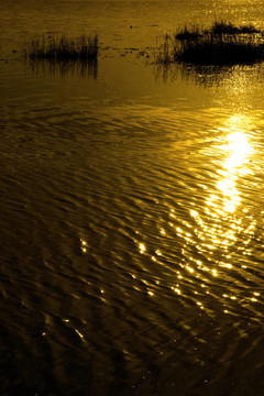 平靜的水面漣漪沖向夕陽